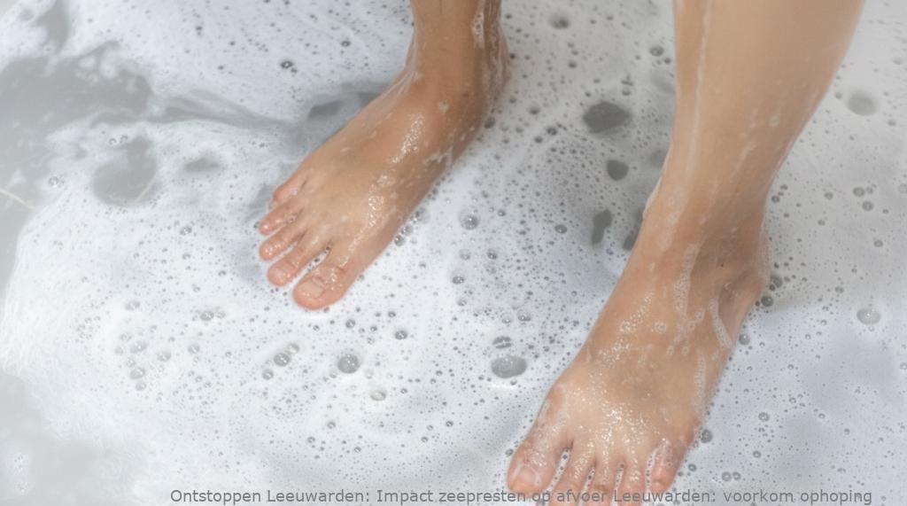 Impact zeepresten op afvoer Leeuwarden: voorkom ophoping