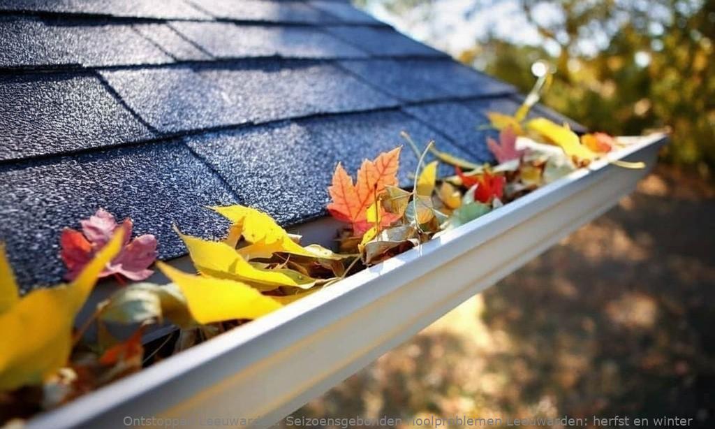 Seizoensgebonden rioolproblemen Leeuwarden: herfst en winter
